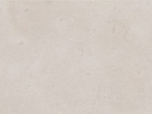 Porcelain 513